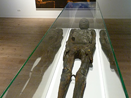 The special exhibition "Mummies — The Dream of Eternal Life" included more than 100 exhibits.