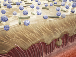 cilia in our breathing passages